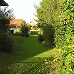 Corvina * Győrújbarát