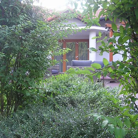Corvina Győrújbarát
