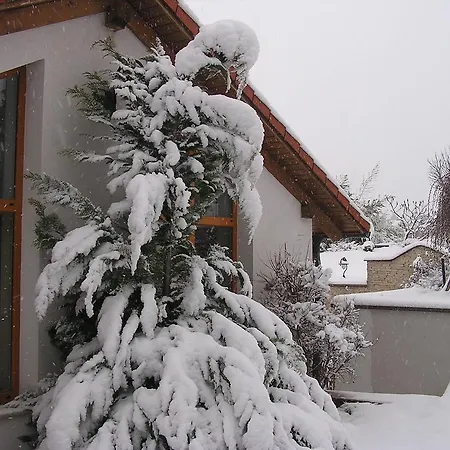 Corvina * Győrújbarát